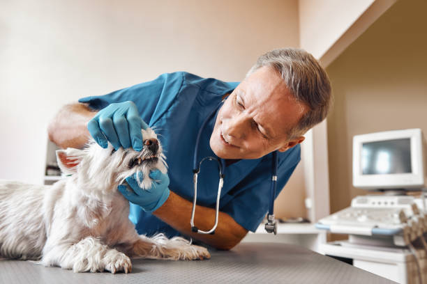 Best Dentist for Tooth Abscess  in Cleveland, OH